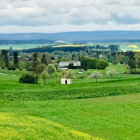 Apartmán Haus Ketterer Bad Dürrheim Exteriér fotografie