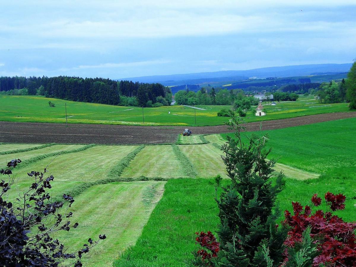 Apartmán Haus Ketterer Bad Dürrheim Exteriér fotografie